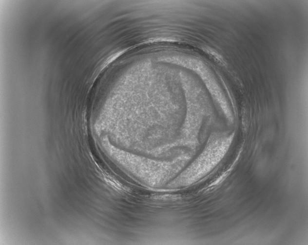 X0000051881113200507221942