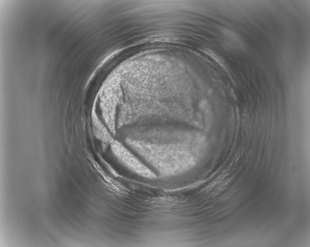 X0000051881115200507221942