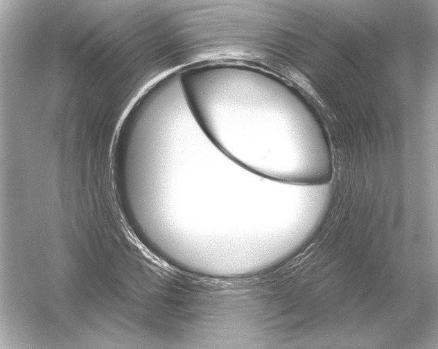 X0000051881116200507221942