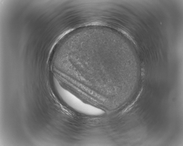 X0000051881117200507221942