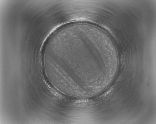 X0000051881118200507221942