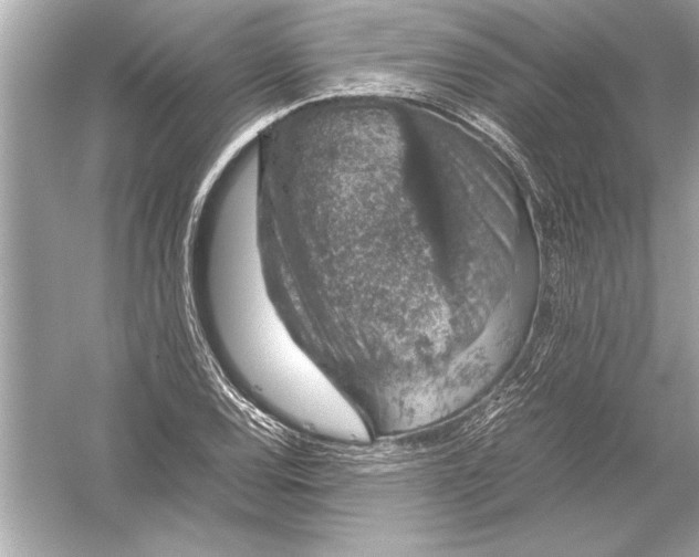 X0000051881120200507221942