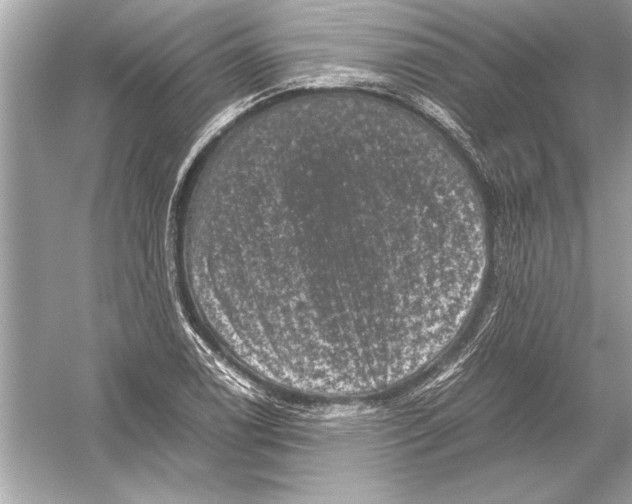 X0000051881122200507221942