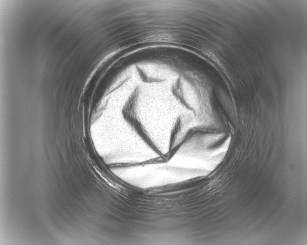 X0000051881123200507221942