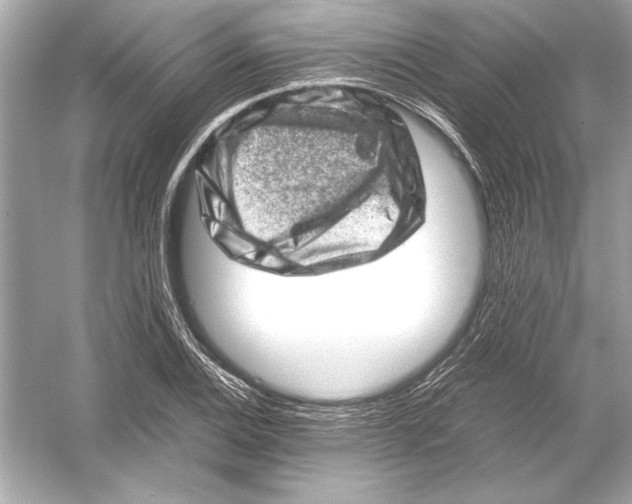 X0000051881124200507221942