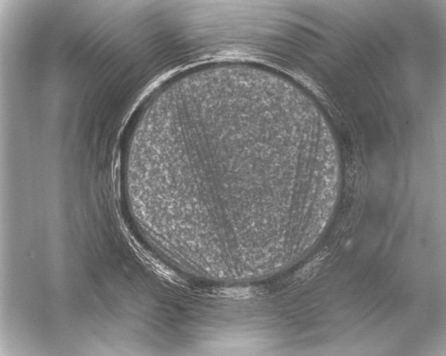 X0000051881126200507221942