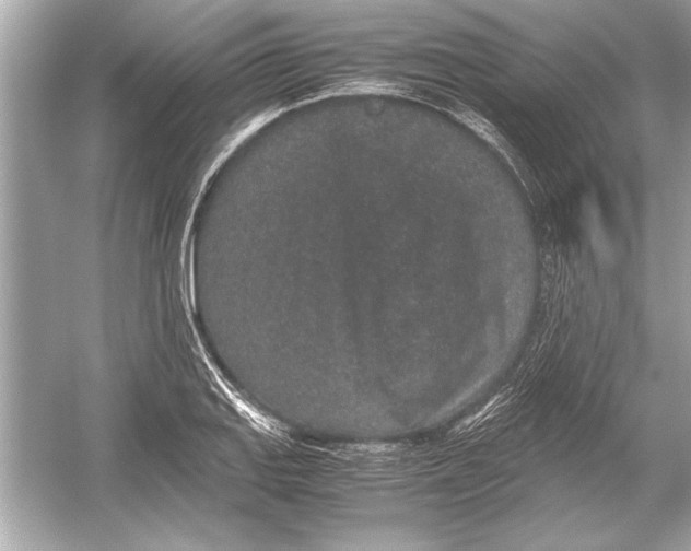 X0000051881127200507221942