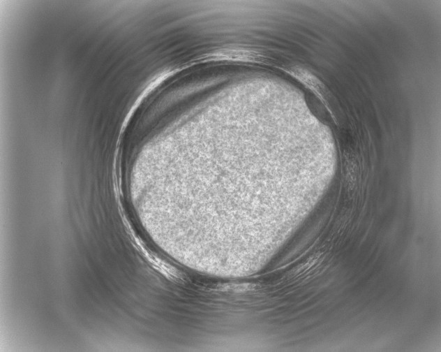 X0000051881131200507221942