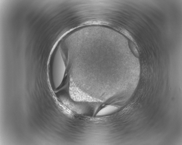 X0000051881132200507221942