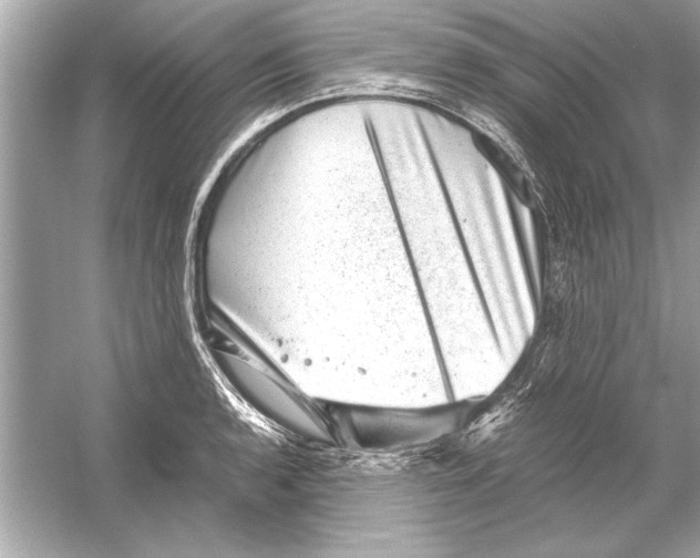 X0000051881136200507221943