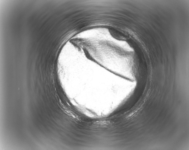 X0000051881137200507221943