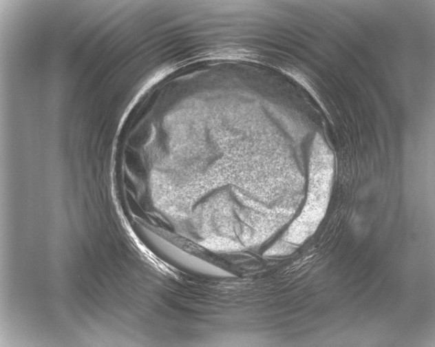 X0000051881139200507221943