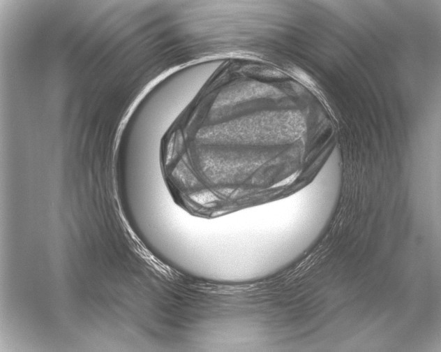 X0000051881140200507221943