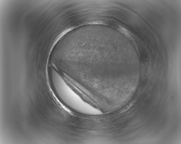 X0000051881141200507221943