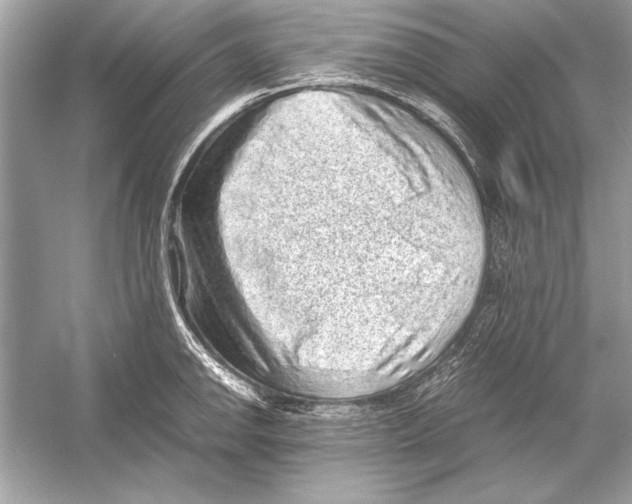 X0000051881142200507221943