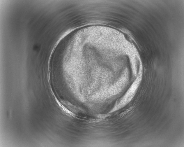 X0000051881143200507221943