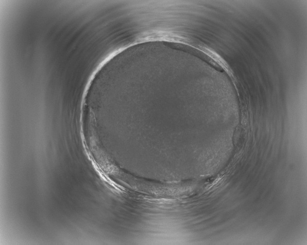 X0000051881144200507221943