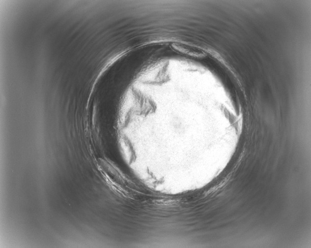 X0000051881145200507221943