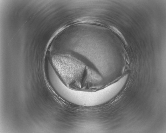 X0000051881146200507221943