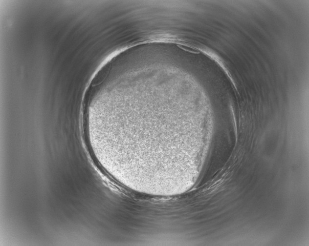 X0000051881147200507221943