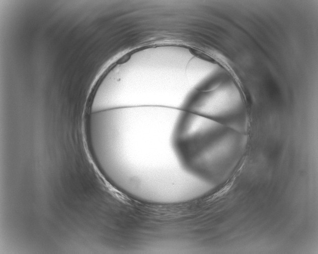 X0000051881149200507221943