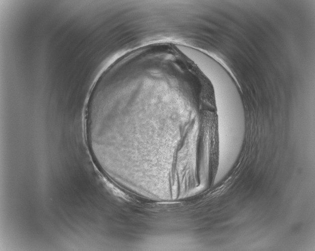 X0000051881151200507221943