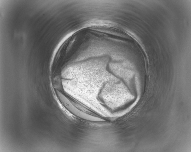 X0000051881152200507221943