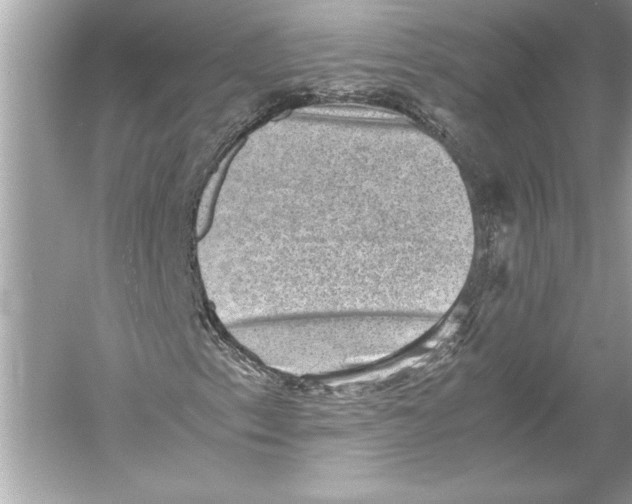 X0000051881153200507221942