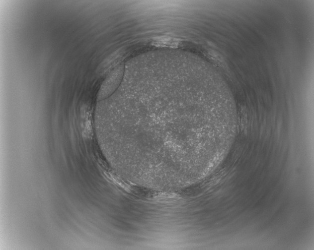 X0000051881154200507221942