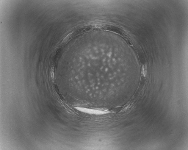 X0000051881155200507221942