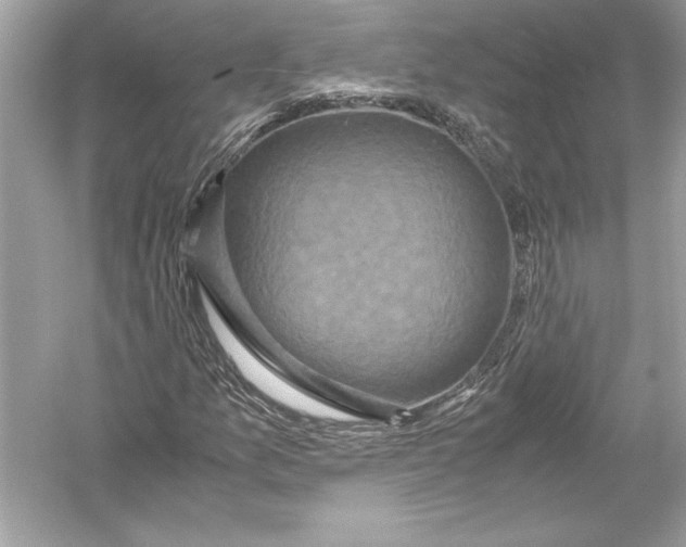 X0000051881157200507221942