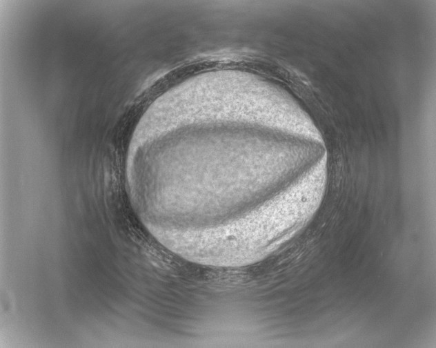 X0000051881158200507221942