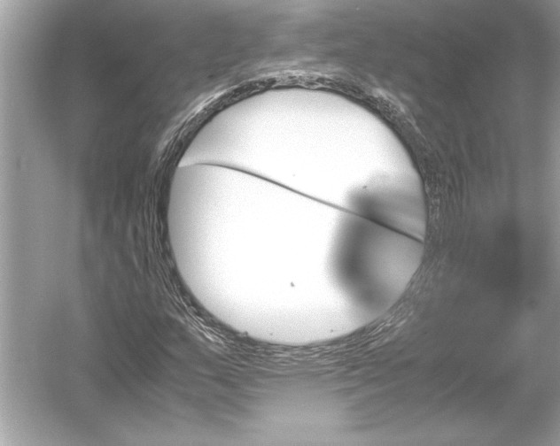 X0000051881159200507221942