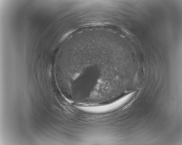 X0000051881161200507221942