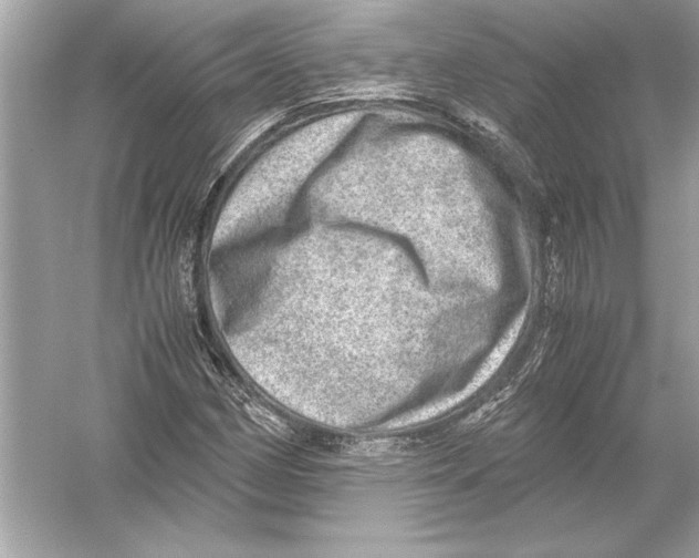 X0000051881162200507221942