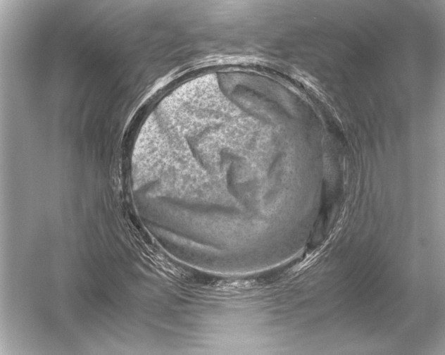 X0000051881165200507221942