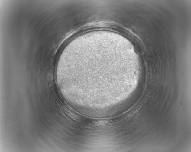 X0000051881166200507221942