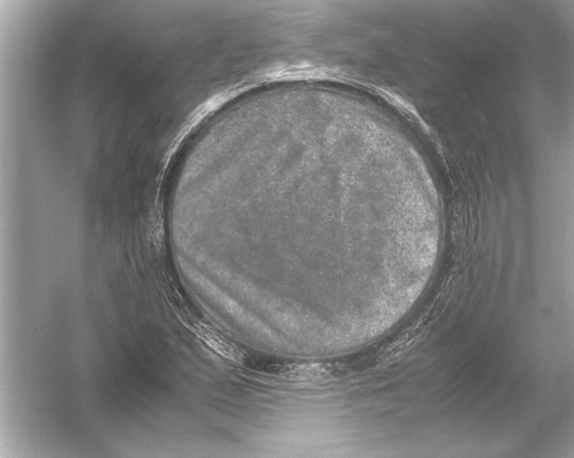 X0000051881167200507221942