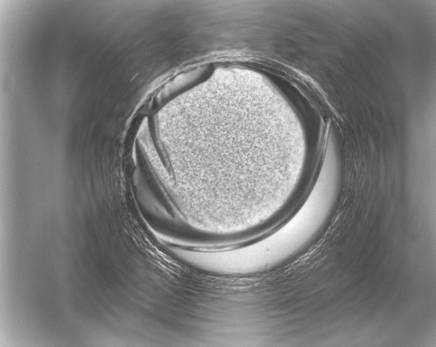 X0000051881168200507221942