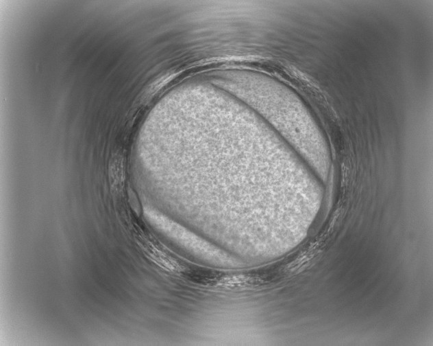 X0000051881169200507221942