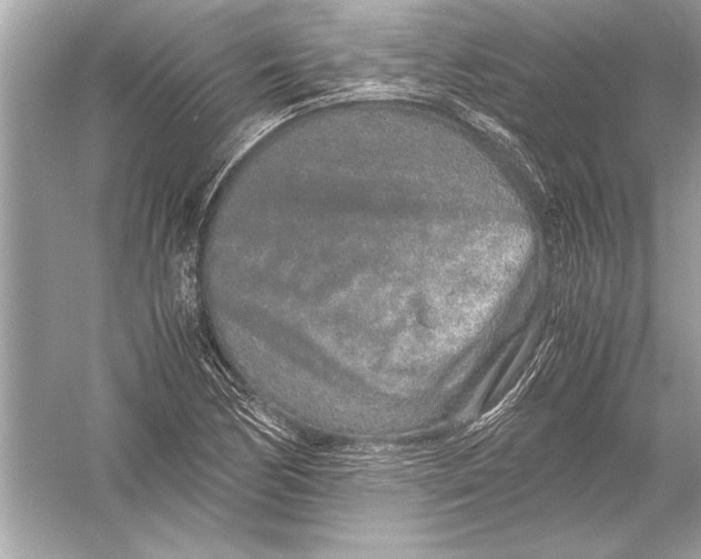 X0000051881170200507221942