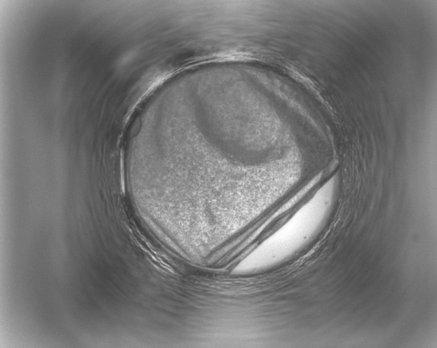 X0000051881171200507221942