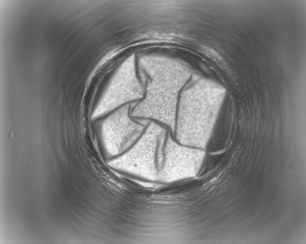 X0000051881172200507221942