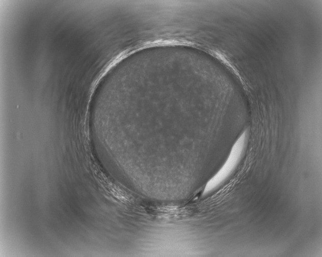 X0000051881173200507221942