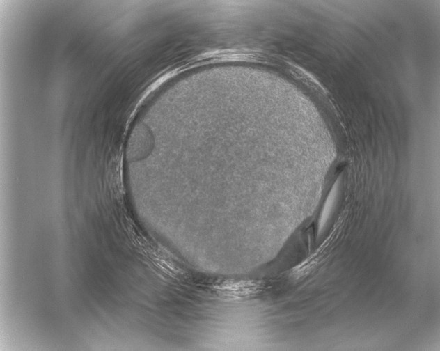 X0000051881174200507221942