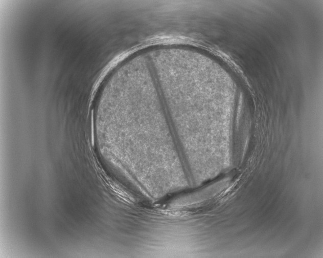 X0000051881175200507221942