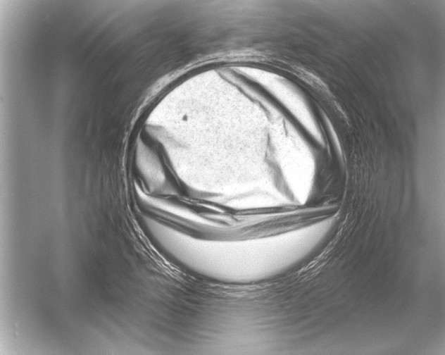 X0000051881176200507221942