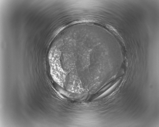 X0000051881177200507221942