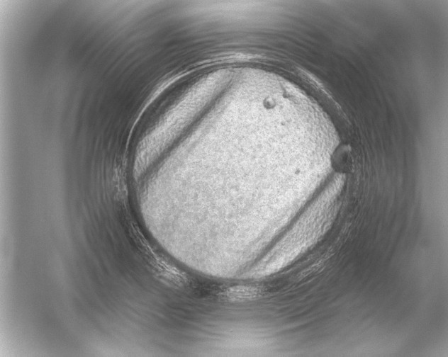 X0000051881178200507221942