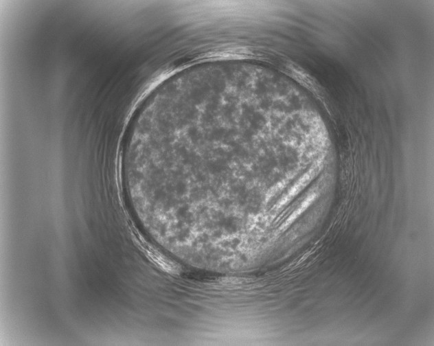 X0000051881179200507221942